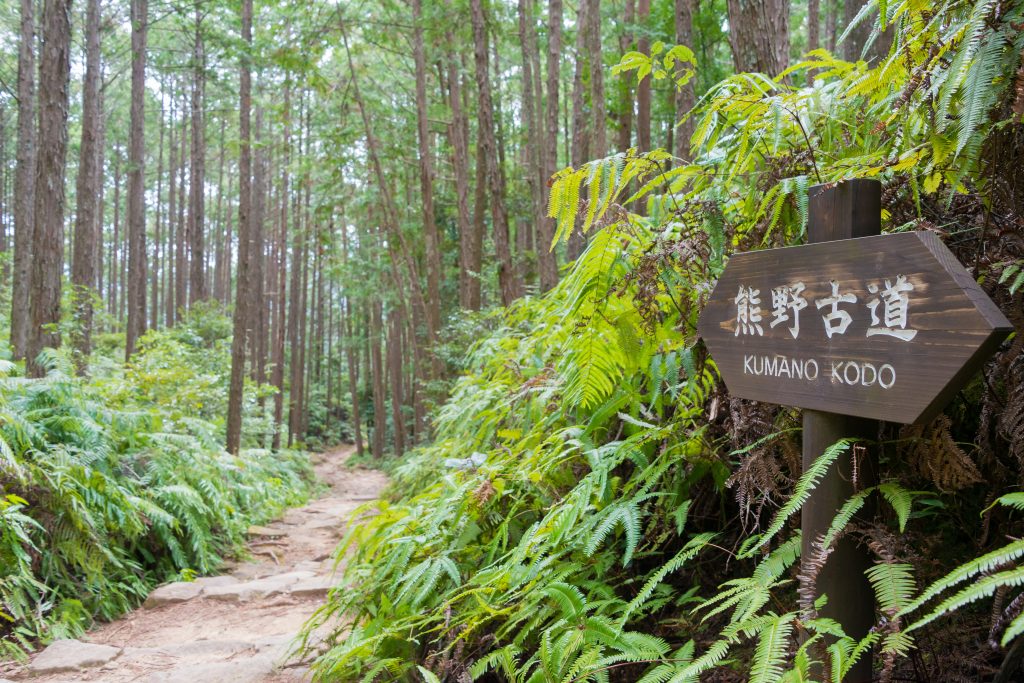 世界遺産・熊野古道で自然と信仰を感じよう！